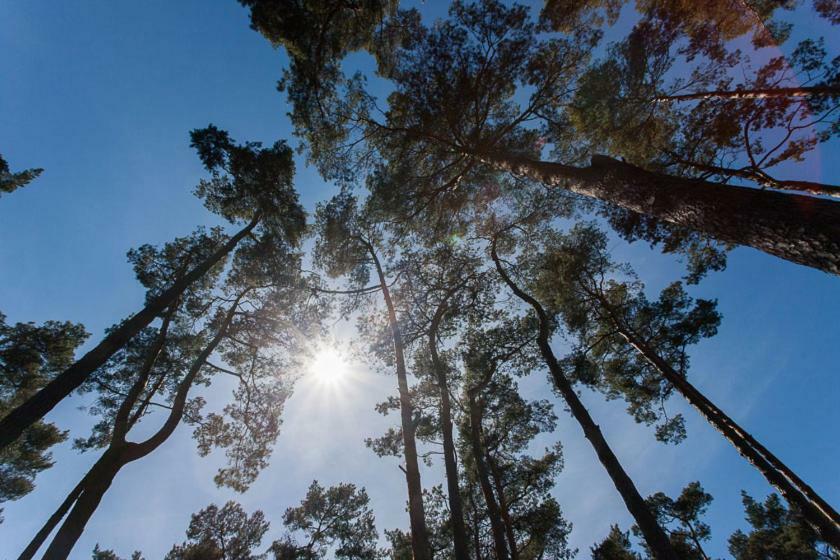 Sosnowa Mila - Domy I Apartamenty Pobierowo Buitenkant foto